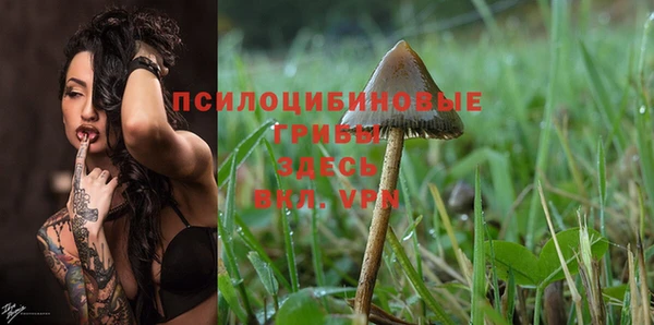 прущий лед Абдулино