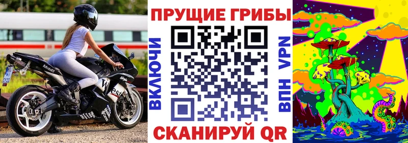 дарк нет формула купить сайты Керчь Псилоцибиновые грибы GOLDEN TEACHER